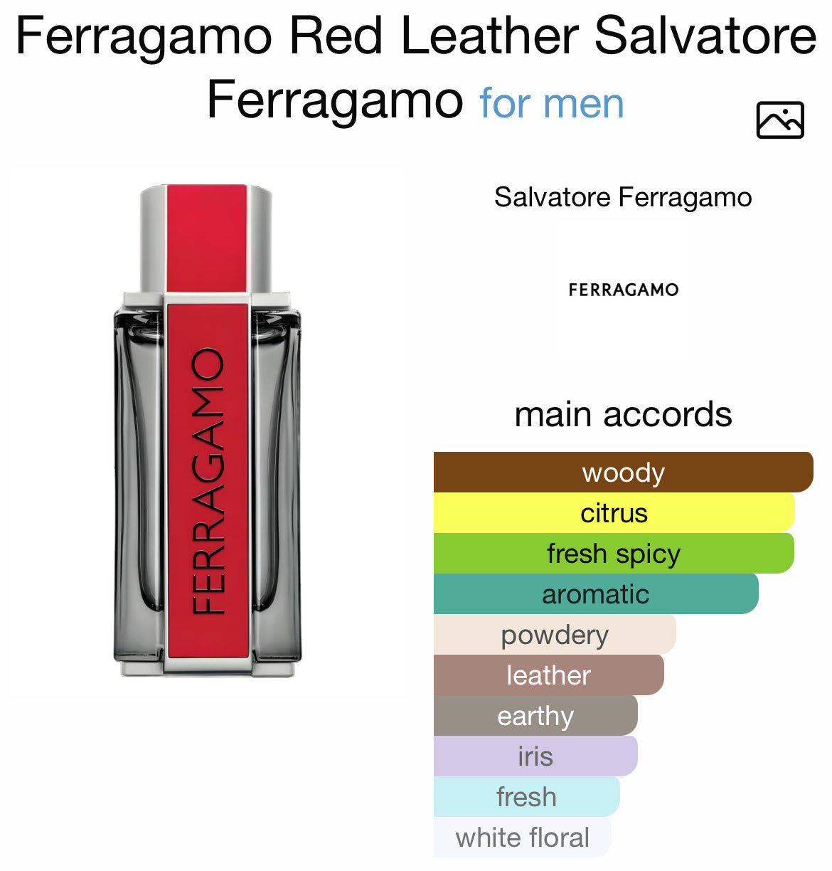 FERRAGAMO RED LEATHER 3.4 EDP MEN