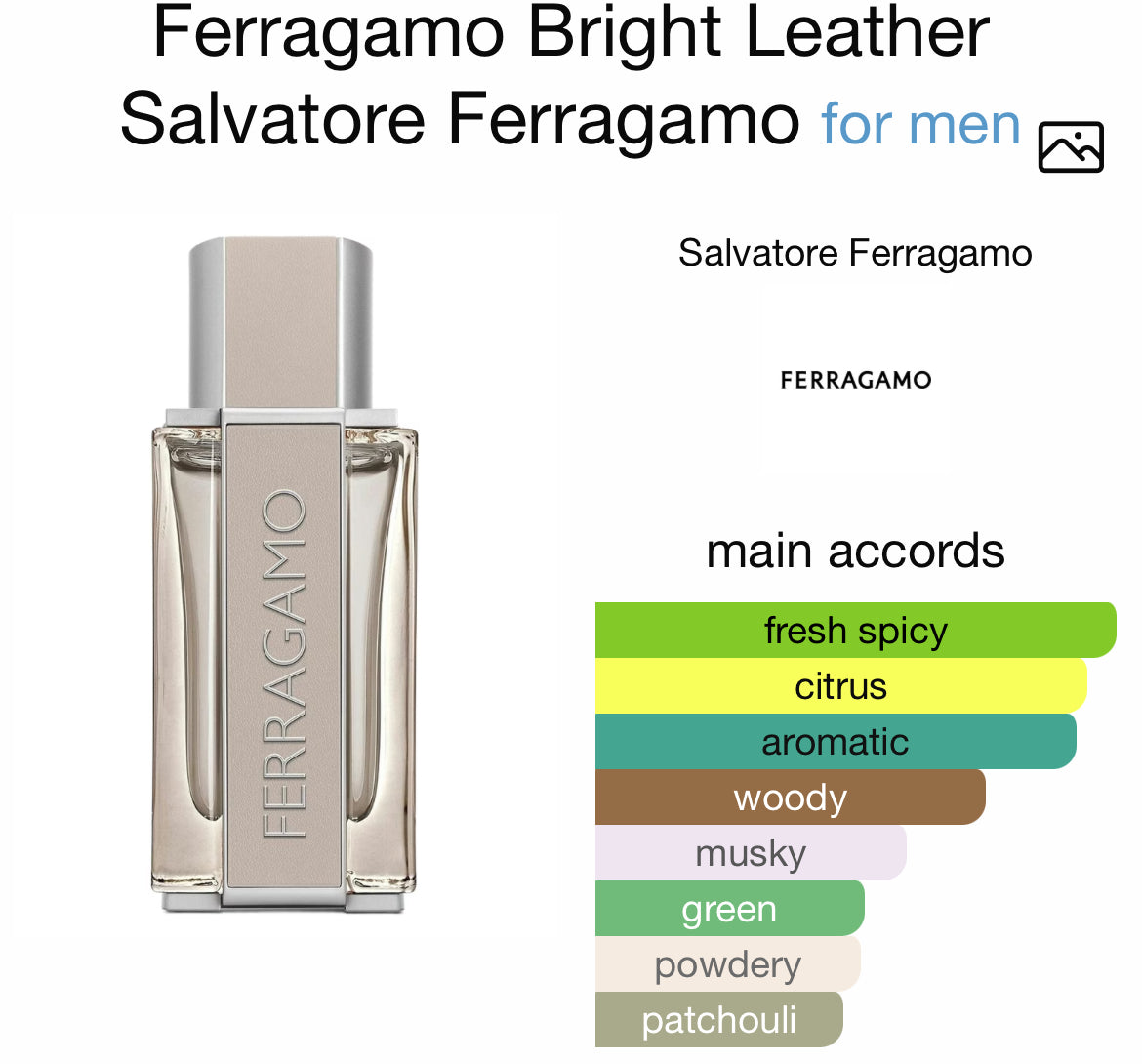 FERRAGAMO BRIGHT LEATHER 3.4 EDT MEN