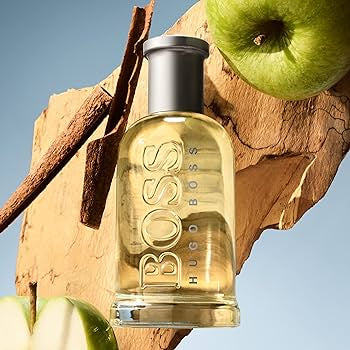 HUGO BOSS BOTTLED ( #6 ) 3.4 EDT MAN