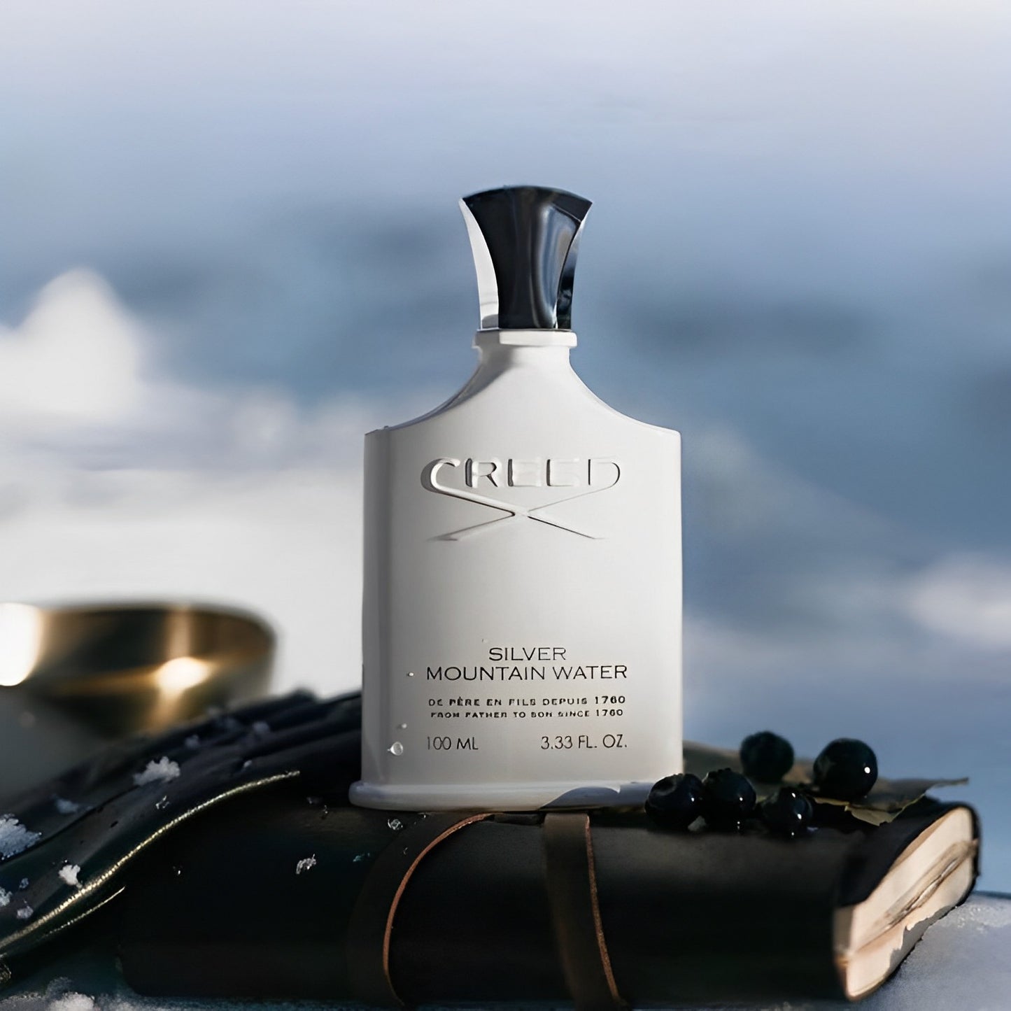 CREED SILVER MOUNTAIN WATER 3.4 EDP MAN