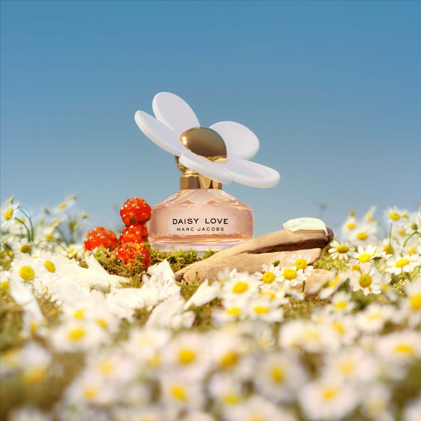 DAISY LOVE 3.4 EDT LADY ( by Marc Jacobs )