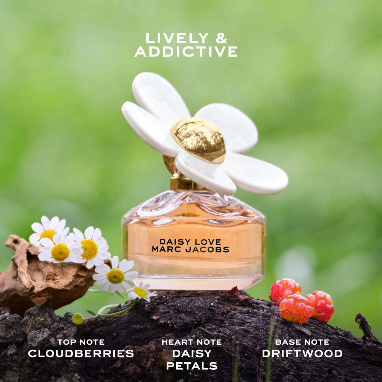 MINI SET DAISY 4 x 4ML LADY (DAISY-SO FRESH-PERFECT-LOVE) ( by Marc Jacobs )