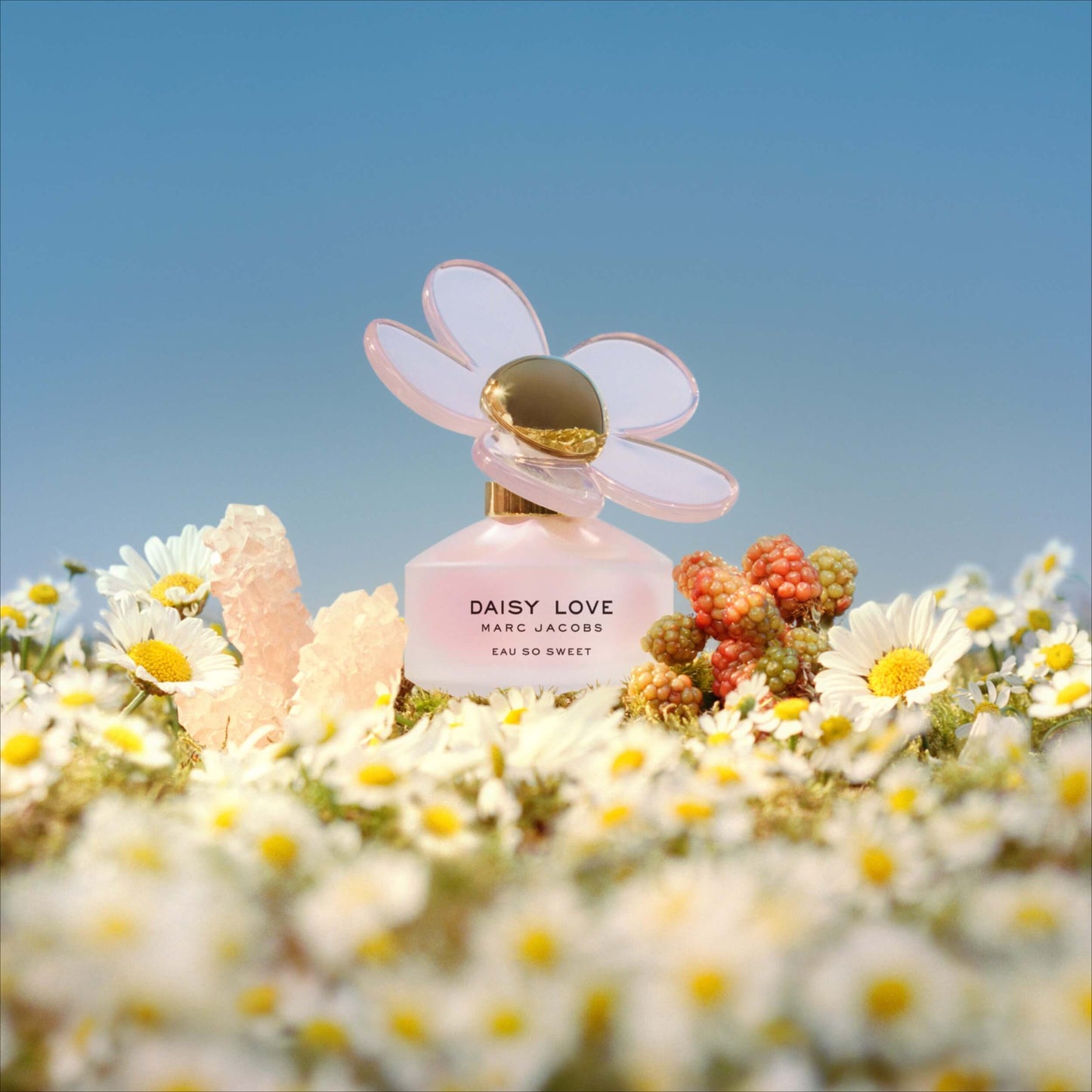 DAISY LOVE EAU SO SWEET 3.4 EDT LADY ( by Marc Jacobs )