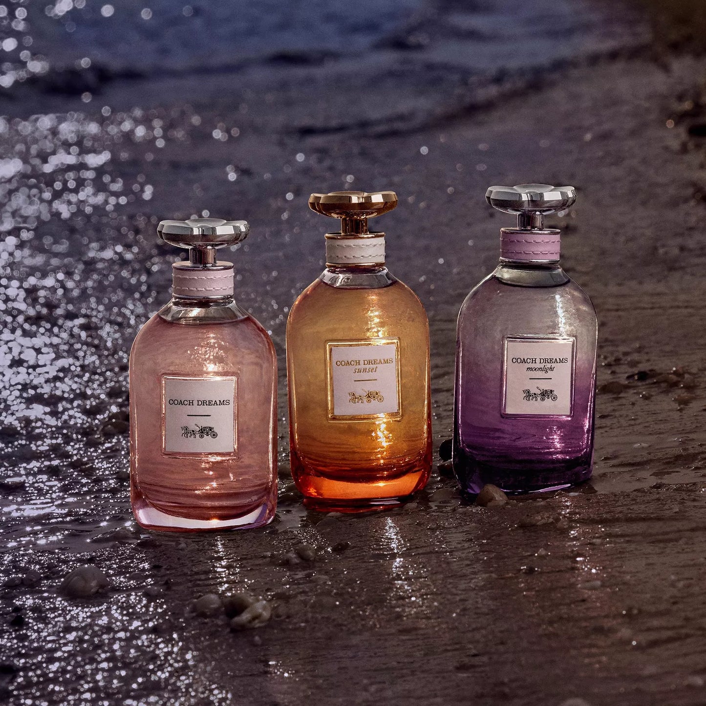 COACH DREAMS MOONLIGHT 3.0 EDP LADY