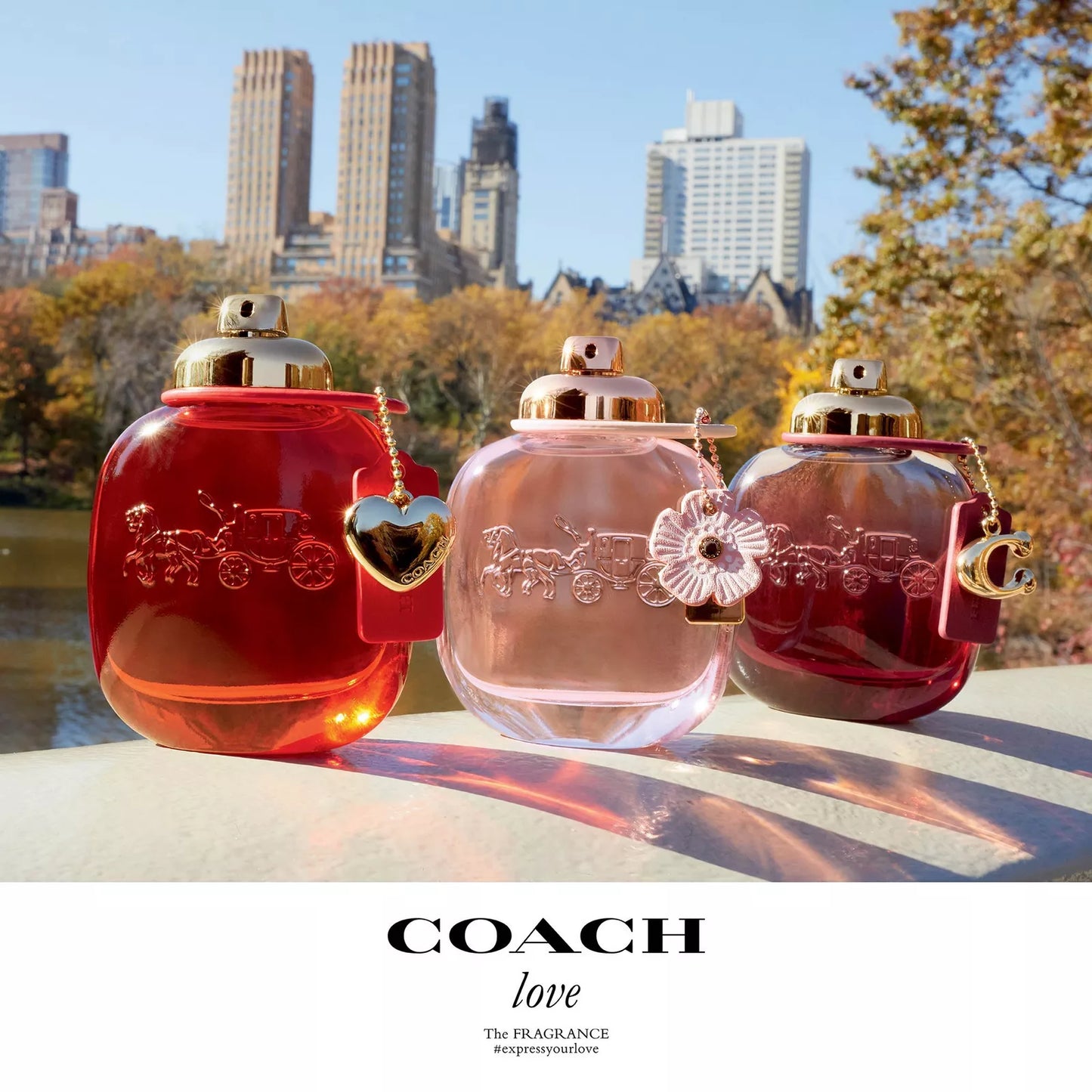 COACH WILD ROSE 3.0 EDP LADY