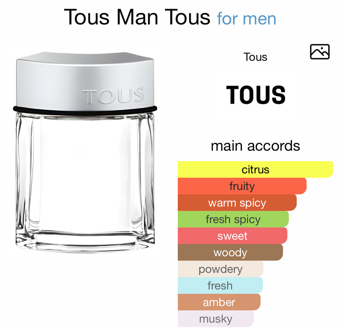 TOUS MAN 3.4 EDT MAN