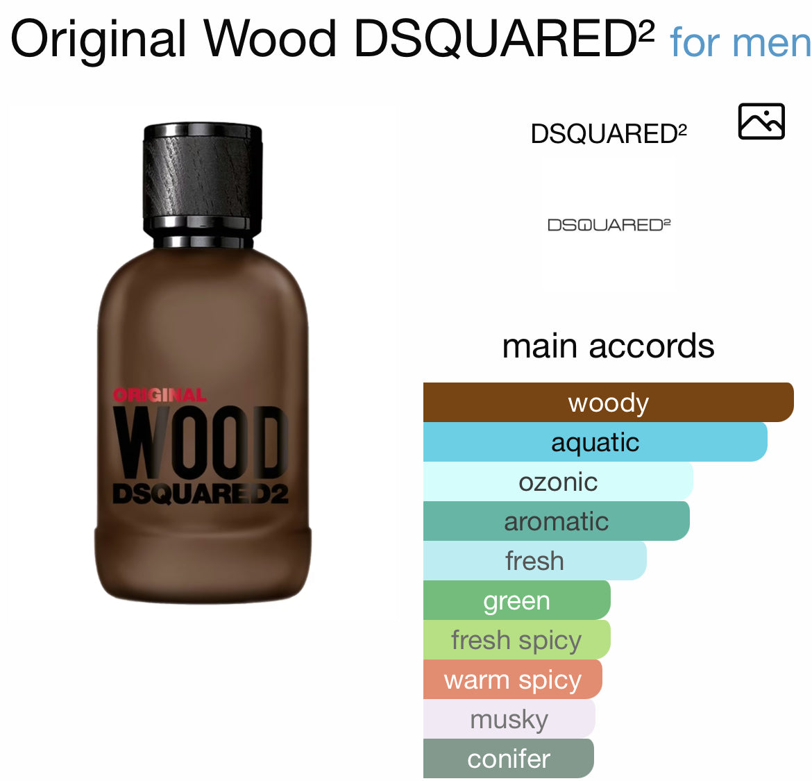 DSQUARED2 ORIGINAL WOOD 3.4 EDP MAN