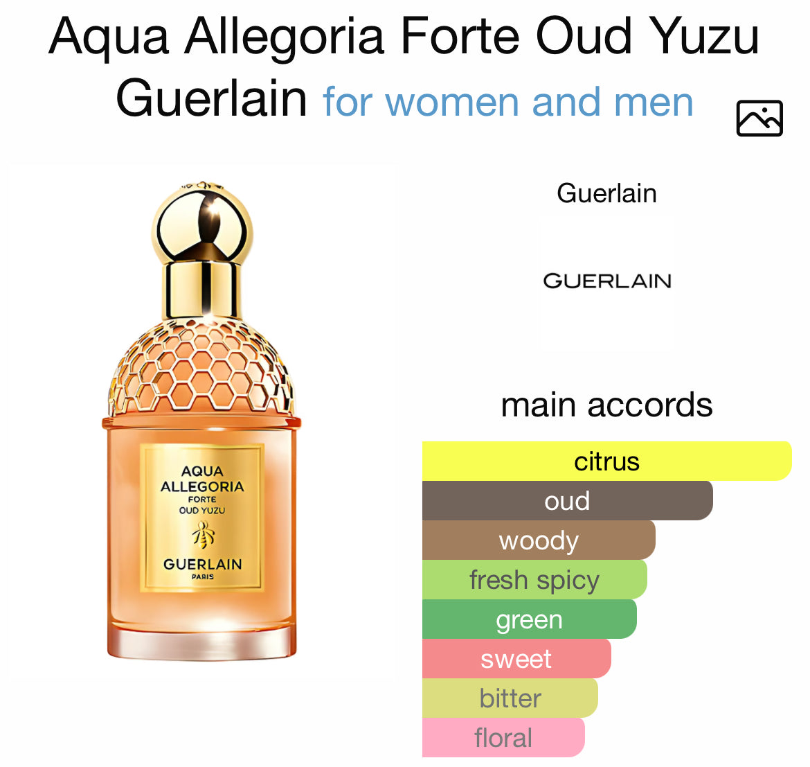 GUERLAIN AQUA ALLEGORIA FORTE OUD YUZO 4.2 EDP UNISEX