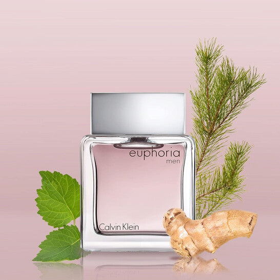 EUPHORIA 3.4 EDT MAN ( by Calvin Klein )