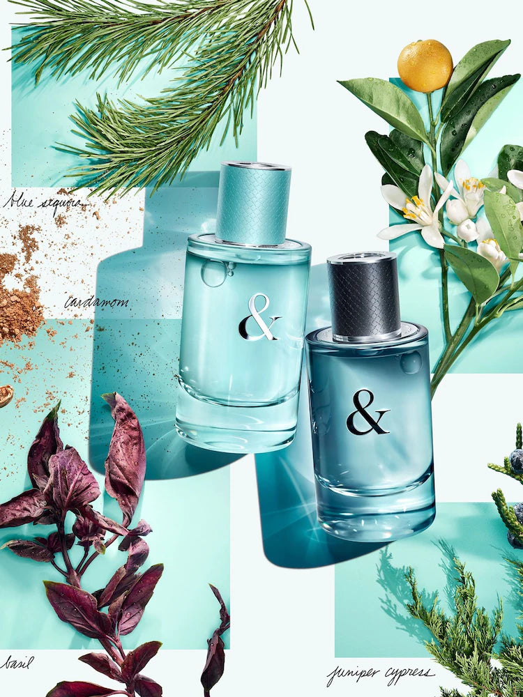 TIFFANY & CO LOVE 3.0 EDT MEN