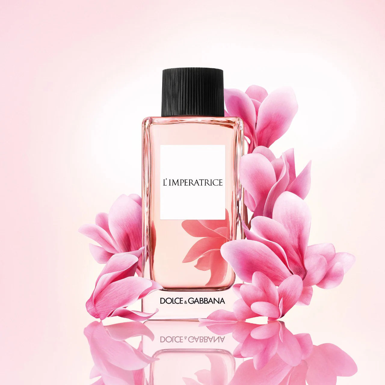 D & G L'IMPERATRICE 3.4 EDT LADY