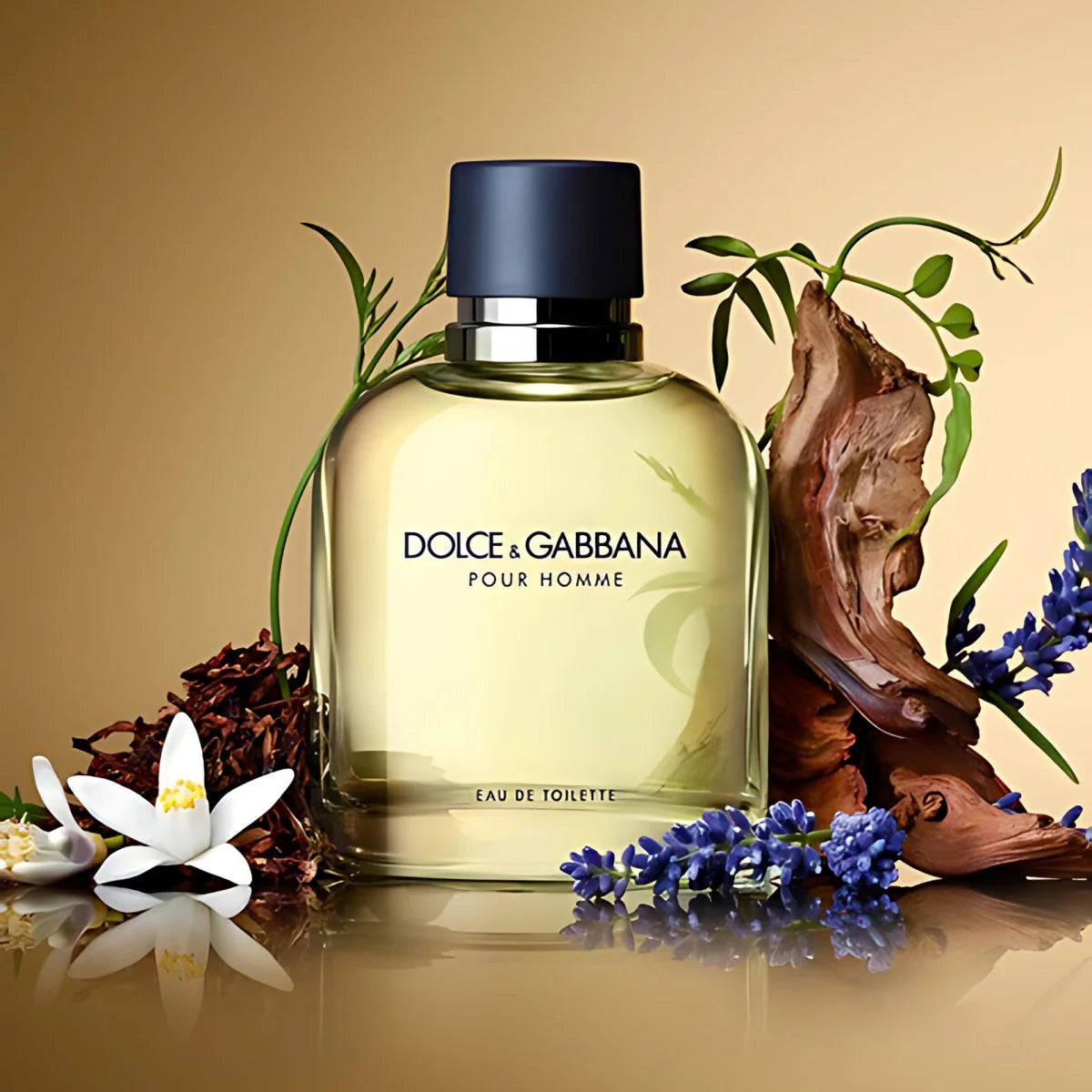 D&G POUR HOMME 4.2 EDT MAN