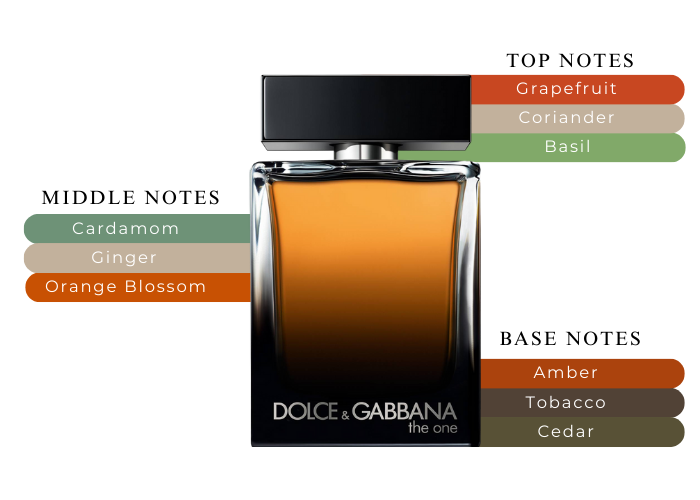 D & G THE ONE 3.4 EDP MAN