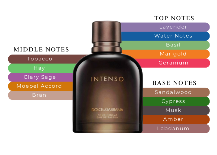 D & G INTENSO 2.5 EDP MAN
