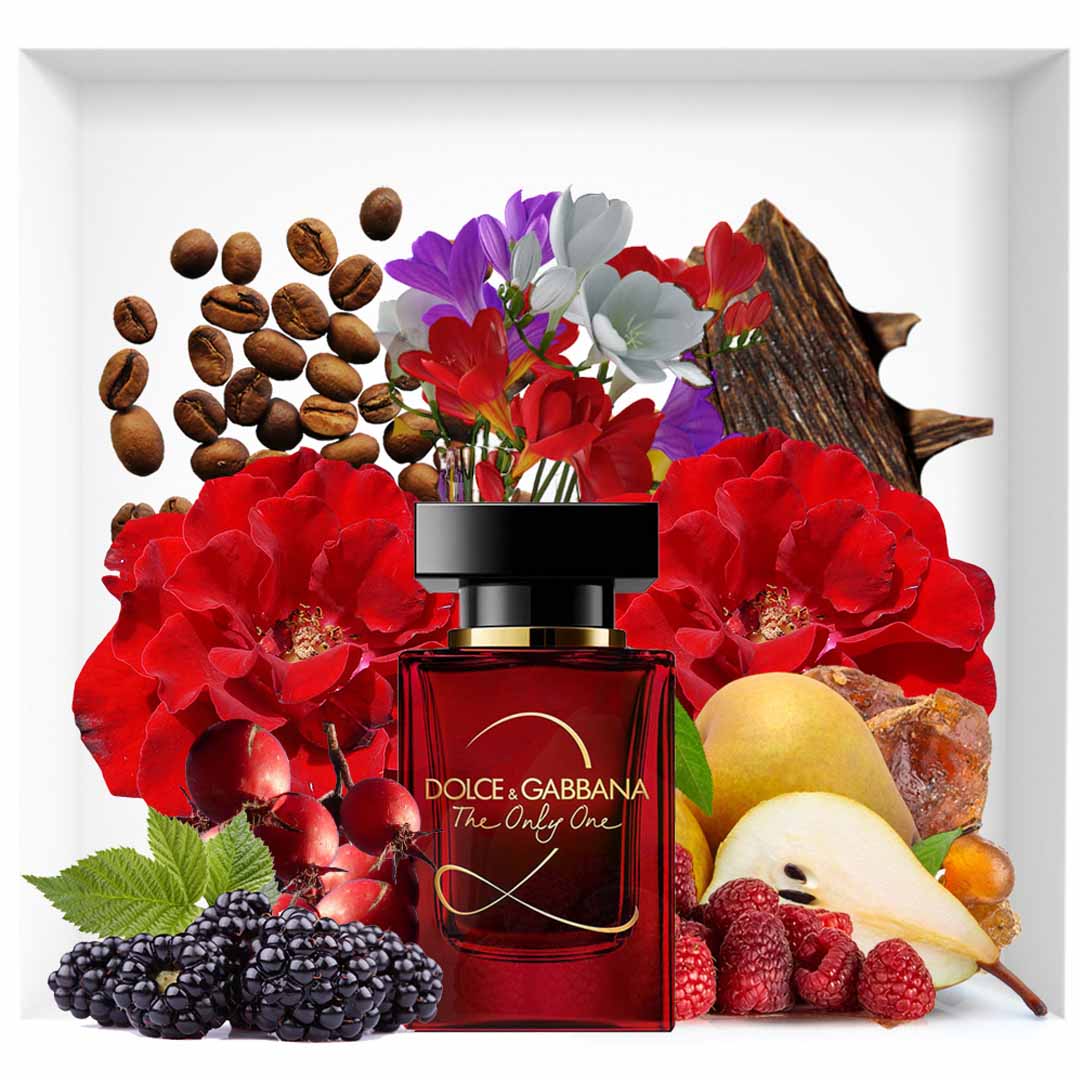 D & G THE ONLY ONE ( 2 ) EDP LADY
