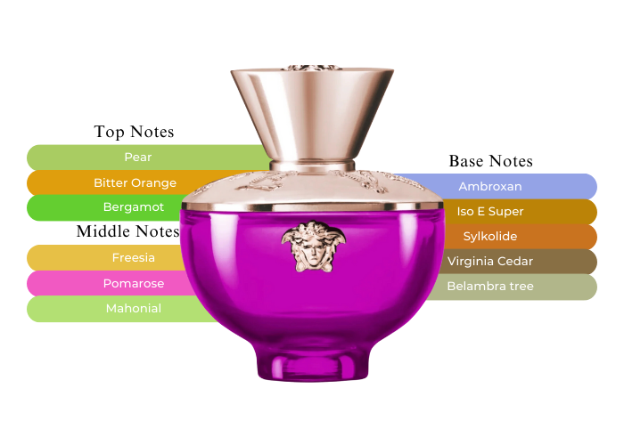 VERSACE DYLAN PURPLE 1.7 EDP LADY + 2.5 B/L + 2.5 S/G ( 3PCS GIFT SET )