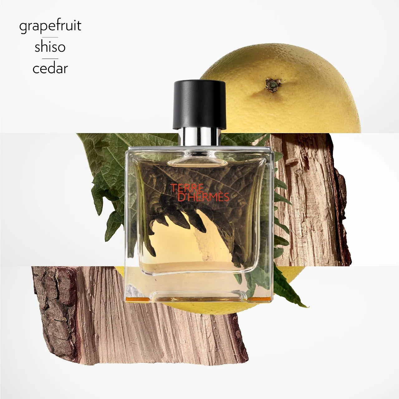 HERMES TERRE 1.7 EDT MAN