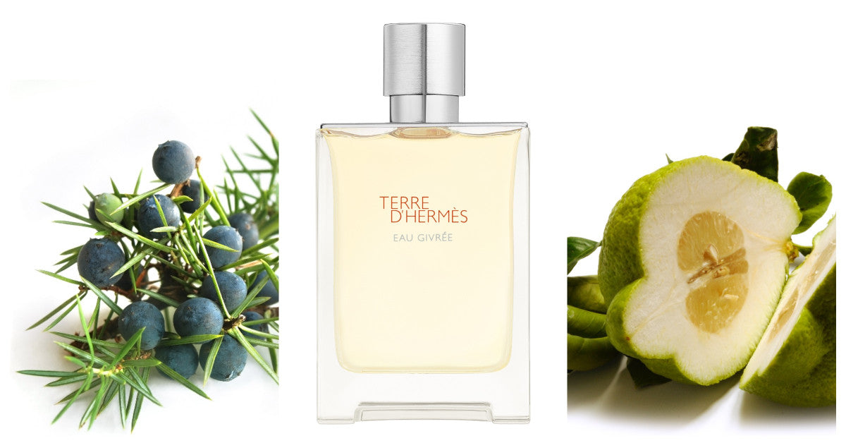 HERMES TERRE EAU GIVREE 5.8 EDP MAN