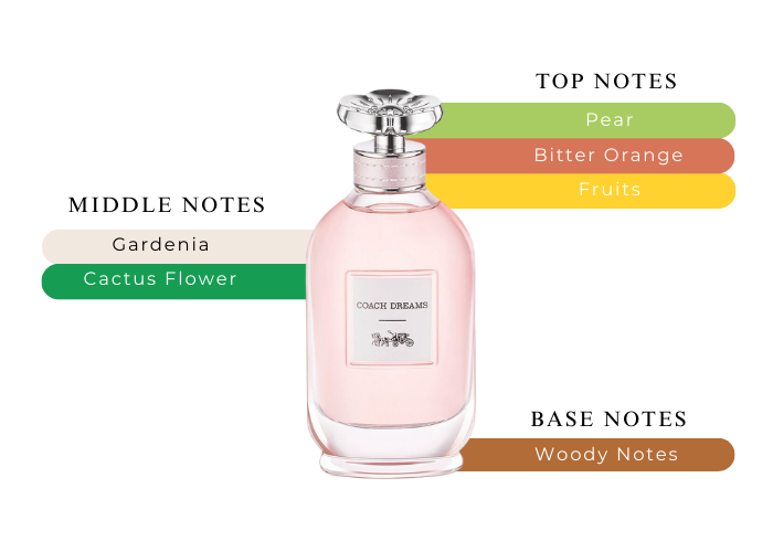 COACH DREAMS 3.0 EDP LADY + 3.4 B/L + MINI TRAVEL SPRAY ( GIFT SET )