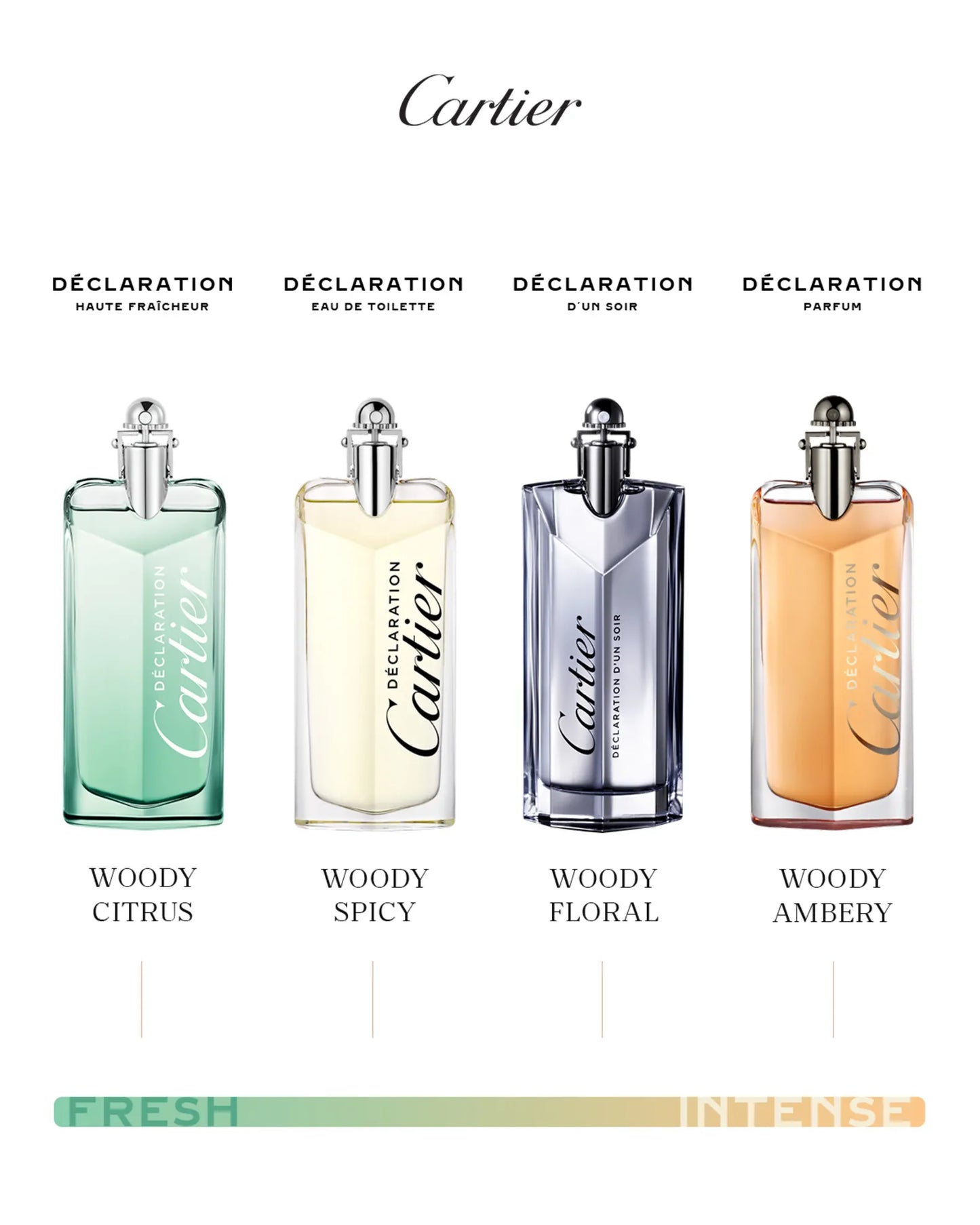 CARTIER DECLARATION 3.4 PARFUM MAN