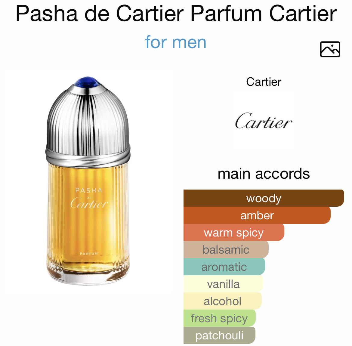 CARTIER PASHA 3.4 PARFUM MAN